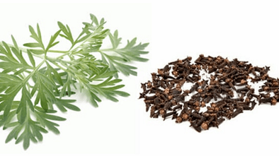 Nelken e Wormwood para eliminar os parásitos do corpo