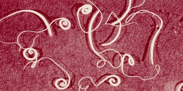 Foto de parasitos humanos